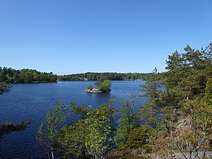 Oxsjön från östra sidan riktning mot norr den 29 maj 2021.