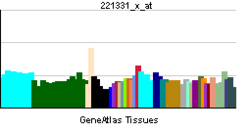 PBB GE CTLA4 221331 x at tn.png