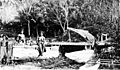 Canoes at Kambara island, 1915