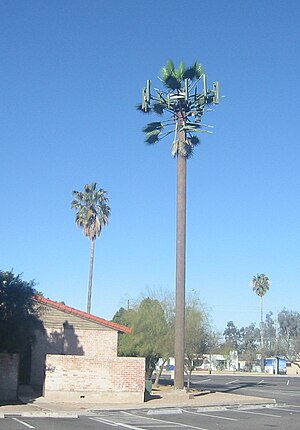 Cell tower disguised as a palm tree in Tucson,...