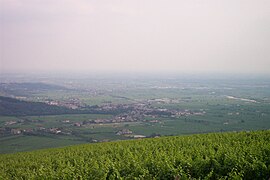 Ilassi im Valpolicella