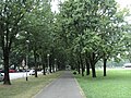 88 стабала у парку у Травном, Загреб