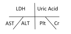 LDH/Mokraćna kiselina/AST/ALT/Plt/Cr