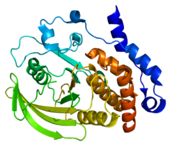 Белок PTPN7 PDB 1zc0.png