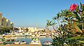 Flores en el Puerto Deportivo de Estepona