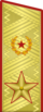 Парадный погон генерала армии (1974-1991)