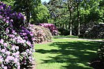 Miniatura para Rhododendron-Park Bremen