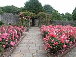 a walled garden with stone paths and roses