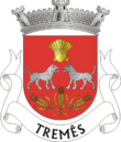 Vlag van Tremês