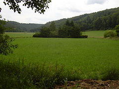 Schwarzbachaue bei Waldfischbach-Burgalben