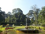 Bogor Botanical Gardens