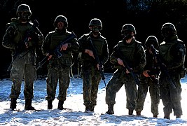 Members of the Brazilian Marine Corps