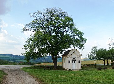 Chapelle à Vážany.