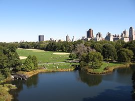 Vista of the Great Lawn from Belvedere Castle