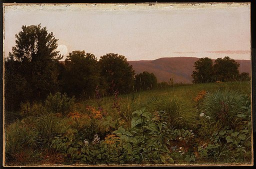 William Trost Richards - Sunset on the Meadow - 1996.194 - Museum of a person engaged or qualified in a profession. Arts.jpg