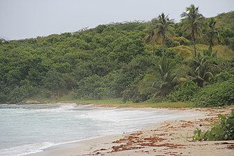 Zoni Beach in Fraile barrio, on Northeastern coast of Culebra