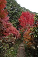 奥之院への入口と紅葉