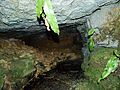 Intérieur de la grotte Malou, vu depuis le porche d'entrée.