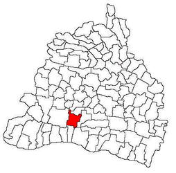 Location in Dolj County