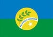 Vlag van Ouro Verde de Goiás