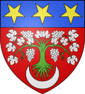 Arms of Aigne