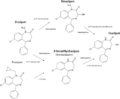 Vignette pour la version du 14 mars 2017 à 00:09