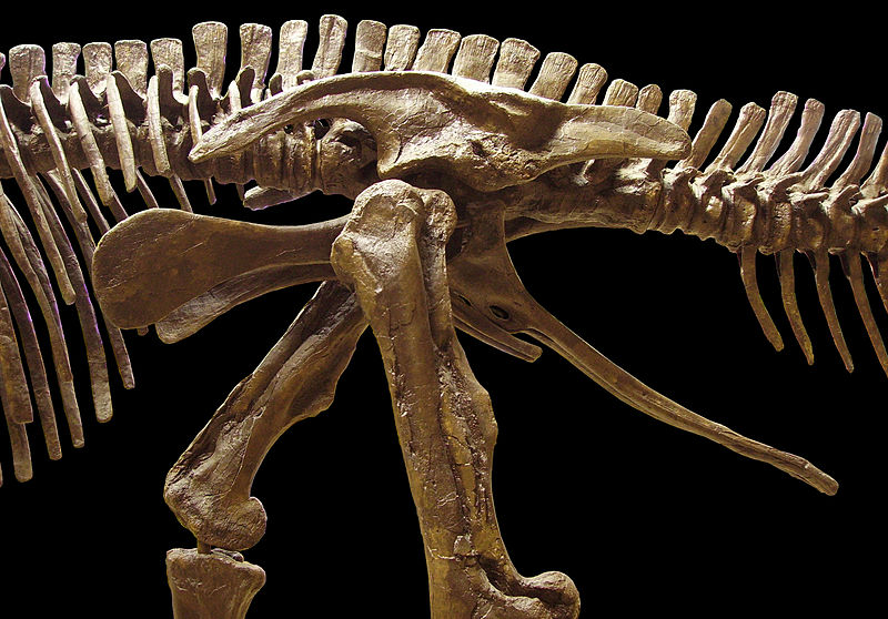 Edmontosaurus