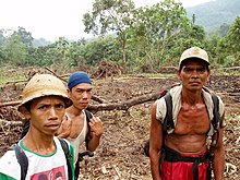 Gli agricoltori vicino a terreni sgomberati all'interno di Taman Nasional Kerinci Seblat (Kerinci Seblat National Park), Sumatra.