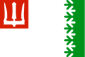Flag of Volkhovsky District