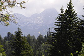 Forêt de Villard, vue sur la grande Moucherolle