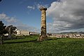 L'unica colonna superstite del Tempio C, dedicato ad Atena Lindia. Sullo sfondo il museo archeologico