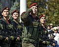 Военный парад в честь Дня Независимости в Киеве 2015 01.jpg