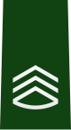 80px-JGSDF_Master_Sergeant_insignia_%28b%29.svg.png