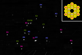 JWST - First images of HD 84406 (segments marked).png
