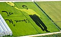 Photo couleur d'une rizière dans laquelle des plants de riz de différentes couleurs (vert, jaune et noir) dessinent le portrait d'un homme debout, de face, pantalon noir, chemise jaune, brandissant un chapeau de paille dans sa main droite.