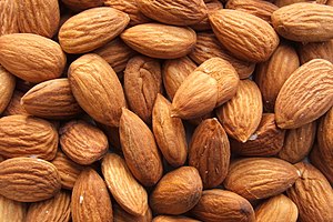 Shelled almonds (Prunus dulcis)