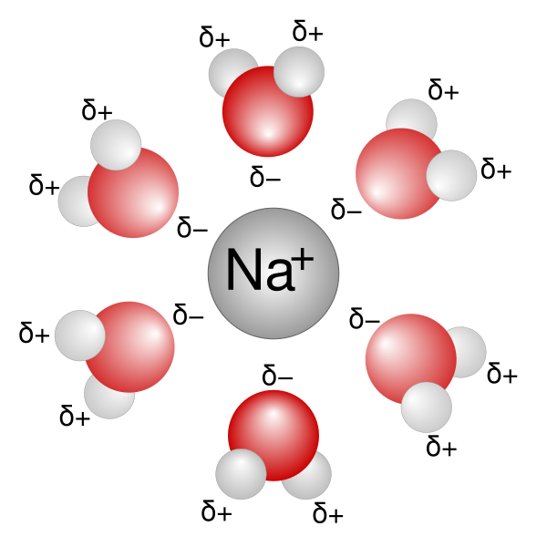 Archivo:Na+H2O.svg