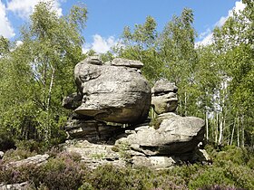 Image illustrative de l’article Forêt de Nanteau