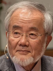 Yoshinori Ohsumi 2016.