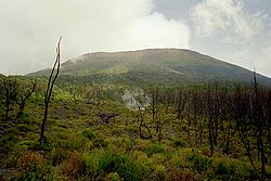 הר הגעש ניאראגונגו, 2004