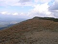 Vyfoukávaný alpínský trávník se sítinou trojklanou (Juncus trifidus) na Obřím hřebeni