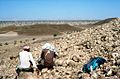 Levés géologiques avec deux stagiaires dans le désert de l'Oman (1990).