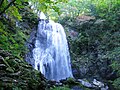 2011年10月8日 (土) 12:08時点における版のサムネイル