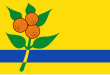 Vlag van Oranjewoud