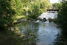 L'Orvanne à la sortie de la retenue d'eau d'Écuelles à Moret-Loing-et-Orvanne.