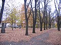 Park auf dem Gelände des ehemaligen Ostfriedhofes.jpg