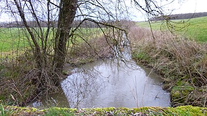 À L'Ermite, après la confluence avec la 2e branche (étang de Brion) et avant la confluence avec la 4e branche