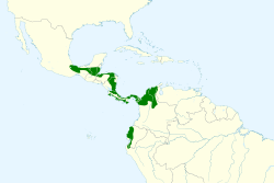 Distribución geográfica del ermitaño colilargo norteño.