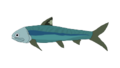 Ptycholepis