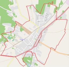 Mapa konturowa Rakoniewic, blisko centrum na dole znajduje się punkt z opisem „Kościół św. Marcina i św. Stanisława Biskupa w Rakoniewicach”